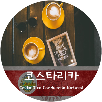 [신상품] 칸델라리아 내추럴 (500g)
