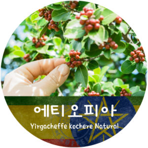 예가체프 코체레 내추럴 (500g)
