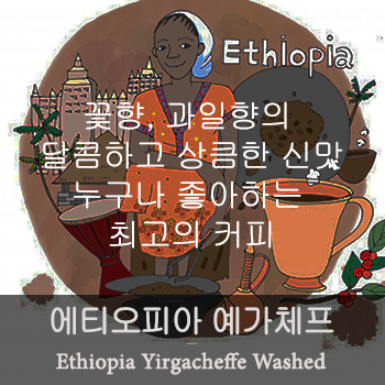 예가체프 Washed (200g)