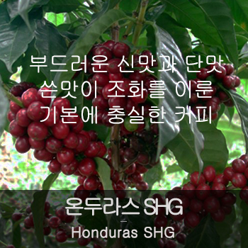 온두라스 SHG (500g)
