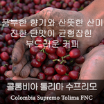 콜롬비아 톨리마 수프리모 (200g)