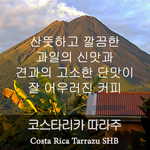 코스타리카 따라주 (200g)