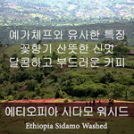 시다모 Washed (200g)
