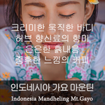 인도네시아 가요마운틴 (500g)